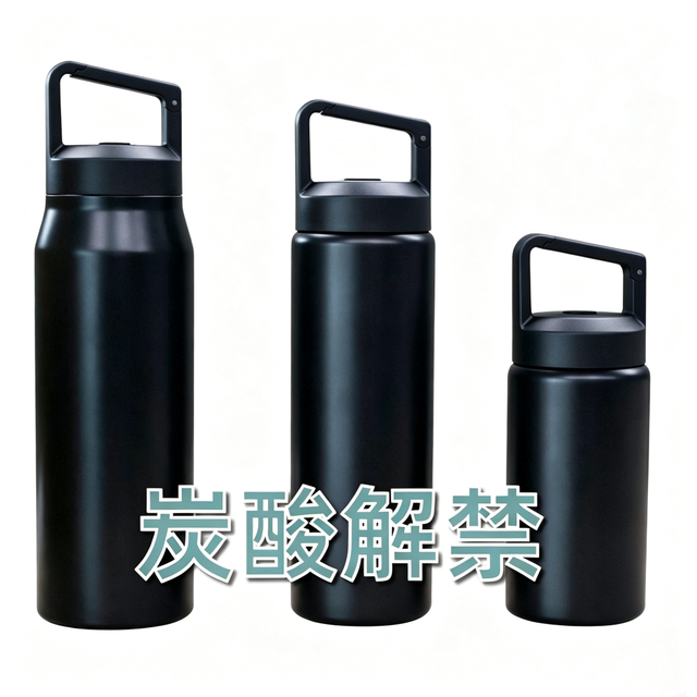 HACSO Wholesale 304 Stainless Steel Carbonated Sports Water Bottle | Wide Mouth Vacuum Insulated Flask for Business Bulk Order